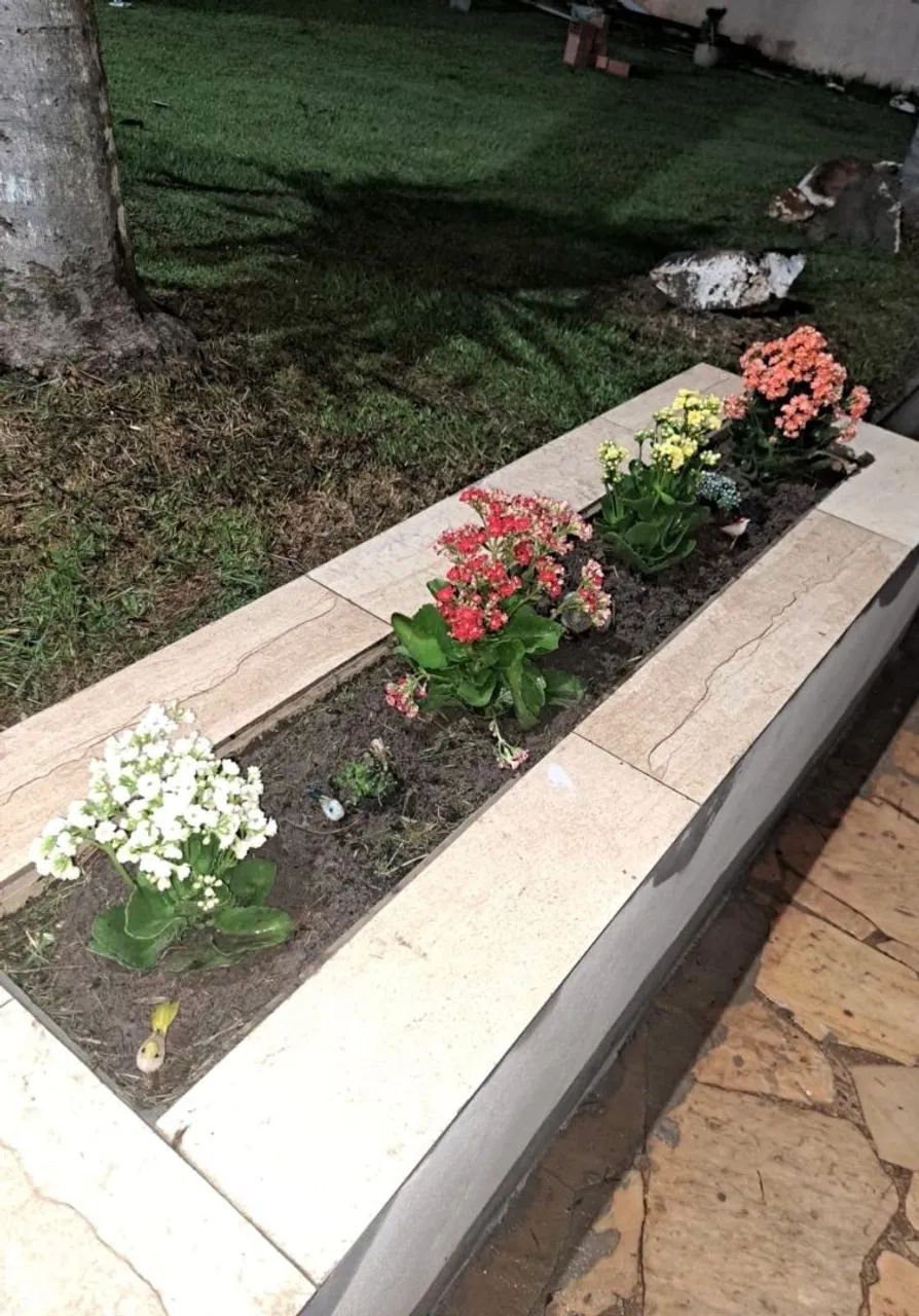 Chácara  a venda.  - Foto 2