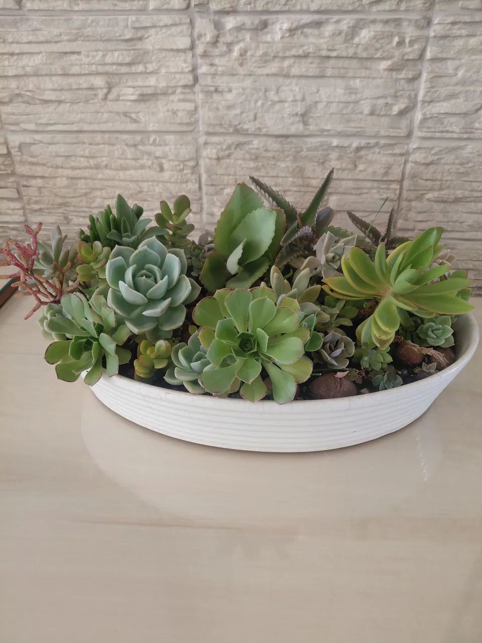 Jardinagem  - Foto 4