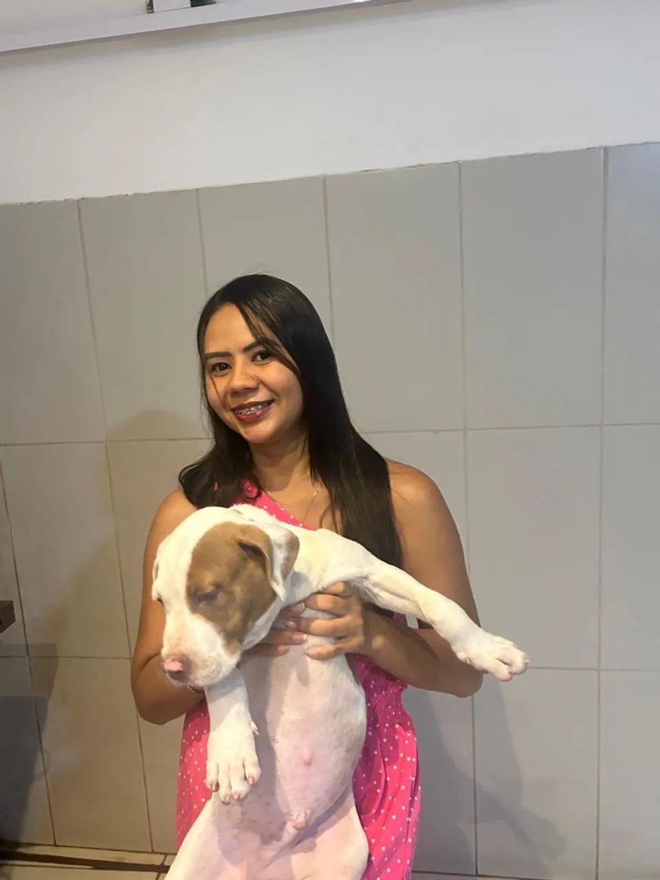 Venda de cachorro  - Foto 2