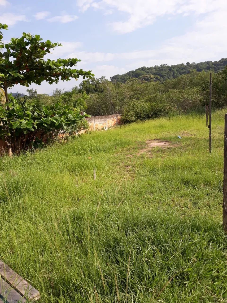 Terreno com pequena casa  - Foto 3