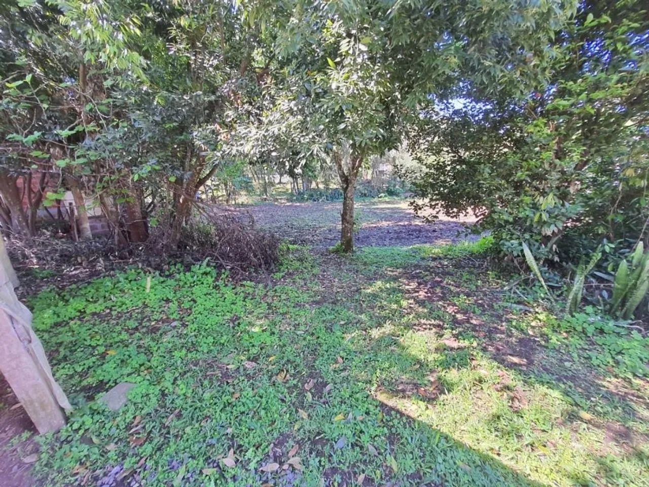 Terreno 6673 - Foto 3