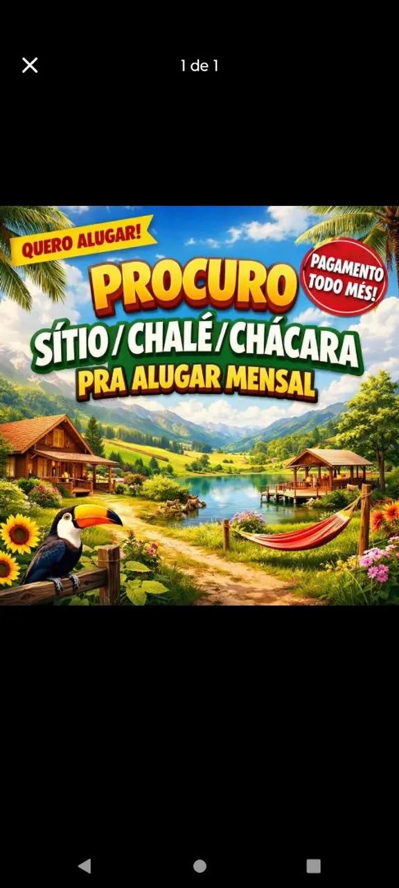 Procuro sítio/chácara pra alugar 