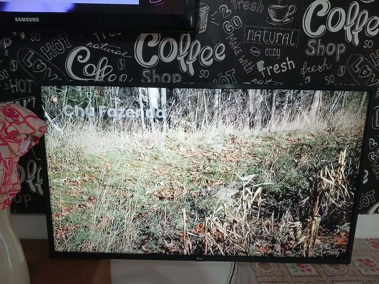 Tv LG 43 polegadas smart com defeito com linhas na tela  - Foto 2