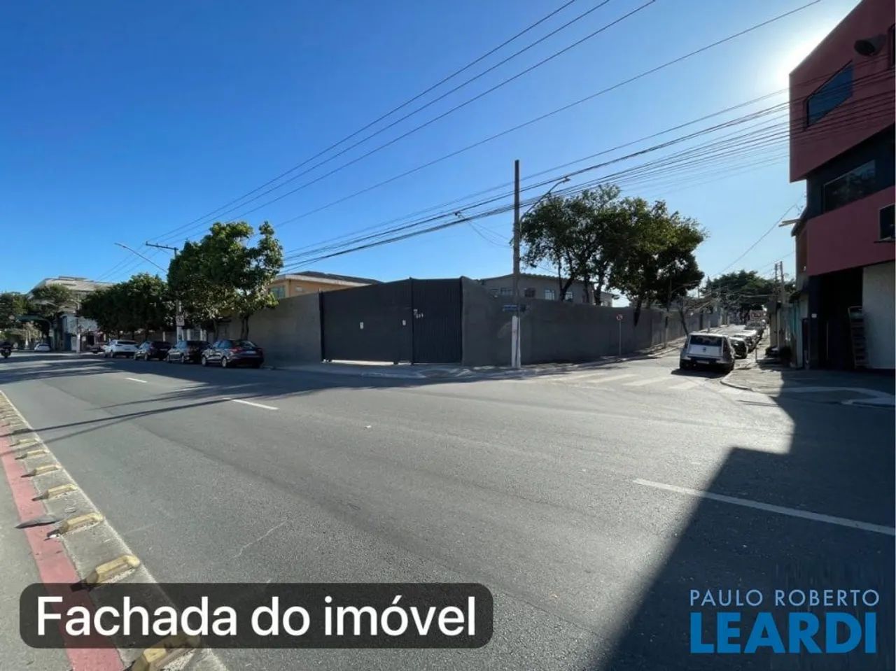 GALPÃO - LIMÃO - SP - Foto 2