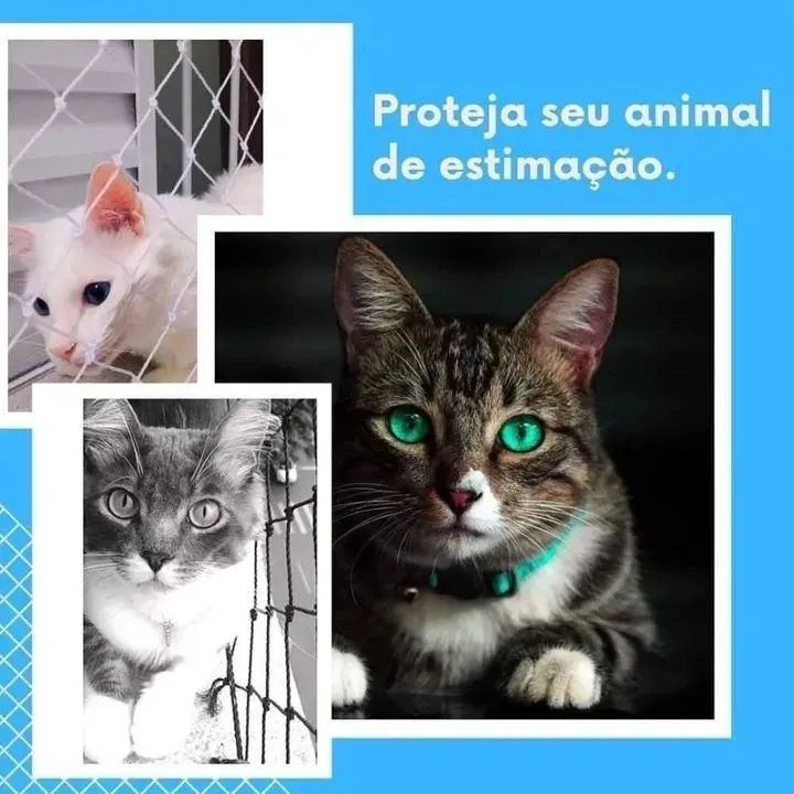 Telas de Proteção  - Foto 3