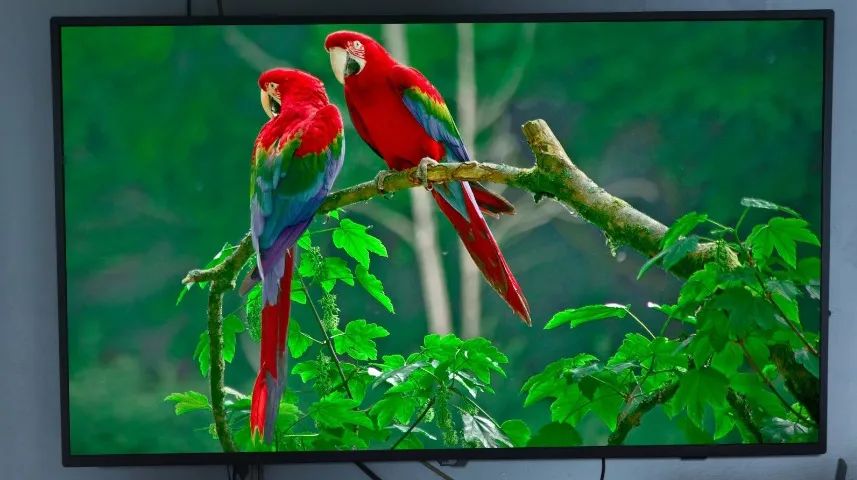 TV Philips 4k 55p - Foto 2