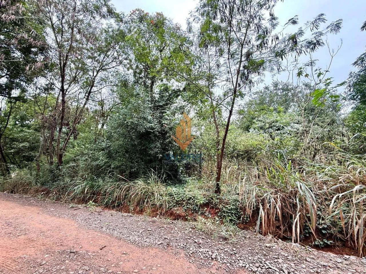 Terreno à venda em Campinas, Barão Geraldo, com 1000 m²