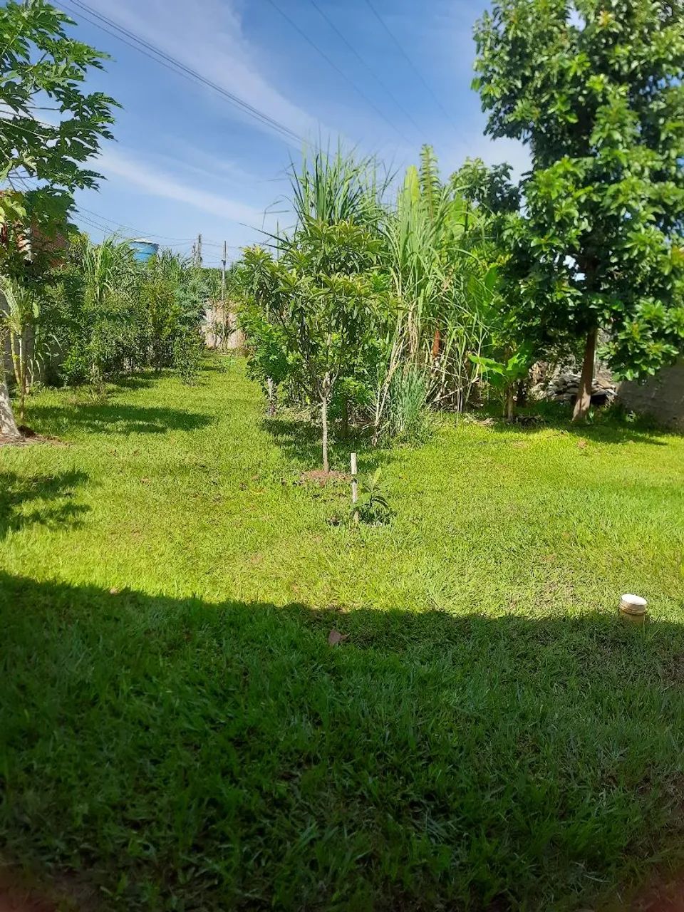 Chácara em Alfredo Marcondes - Foto 2