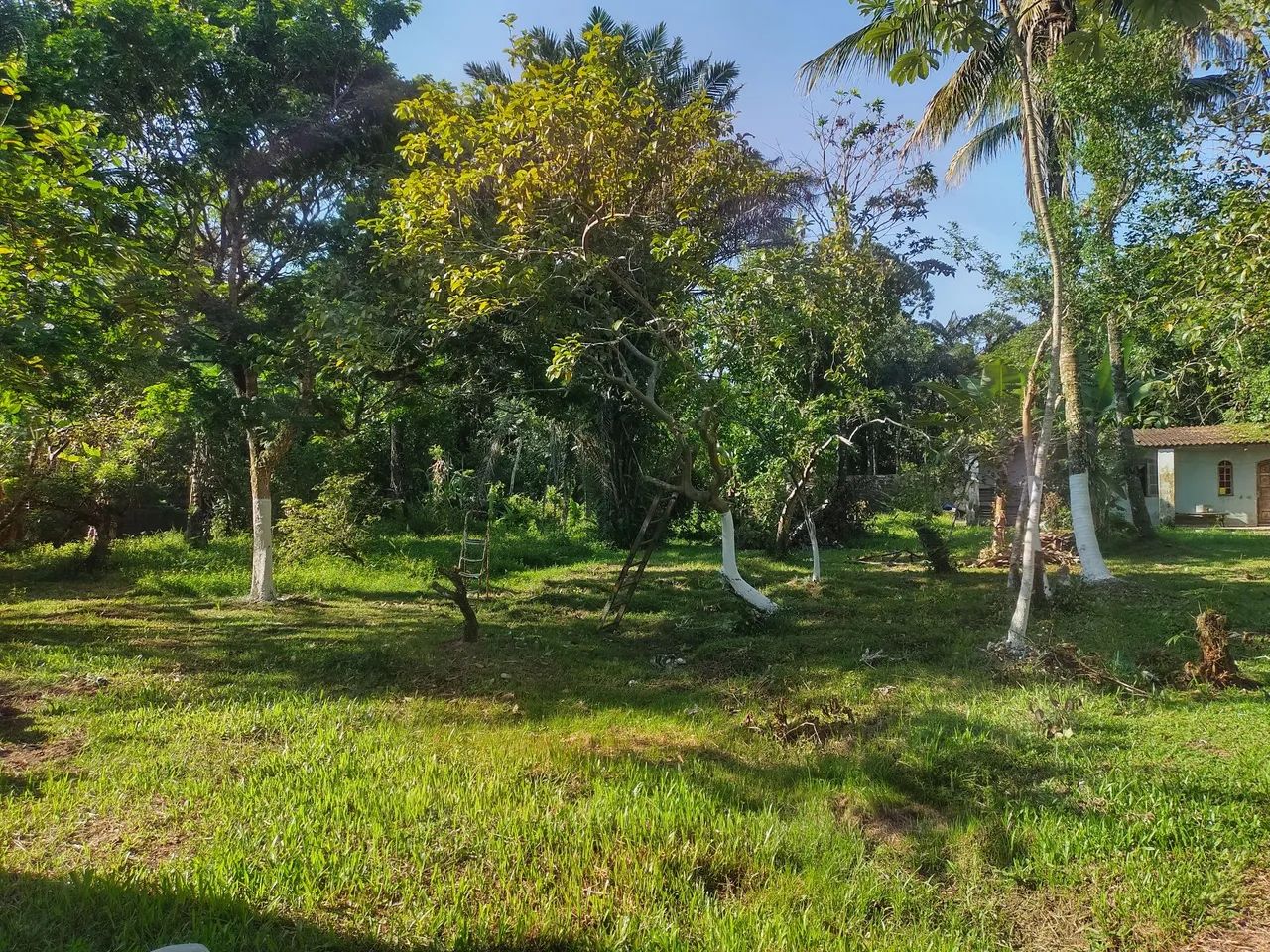 Foto - Itanhaém - São Fernando (Chácaras)