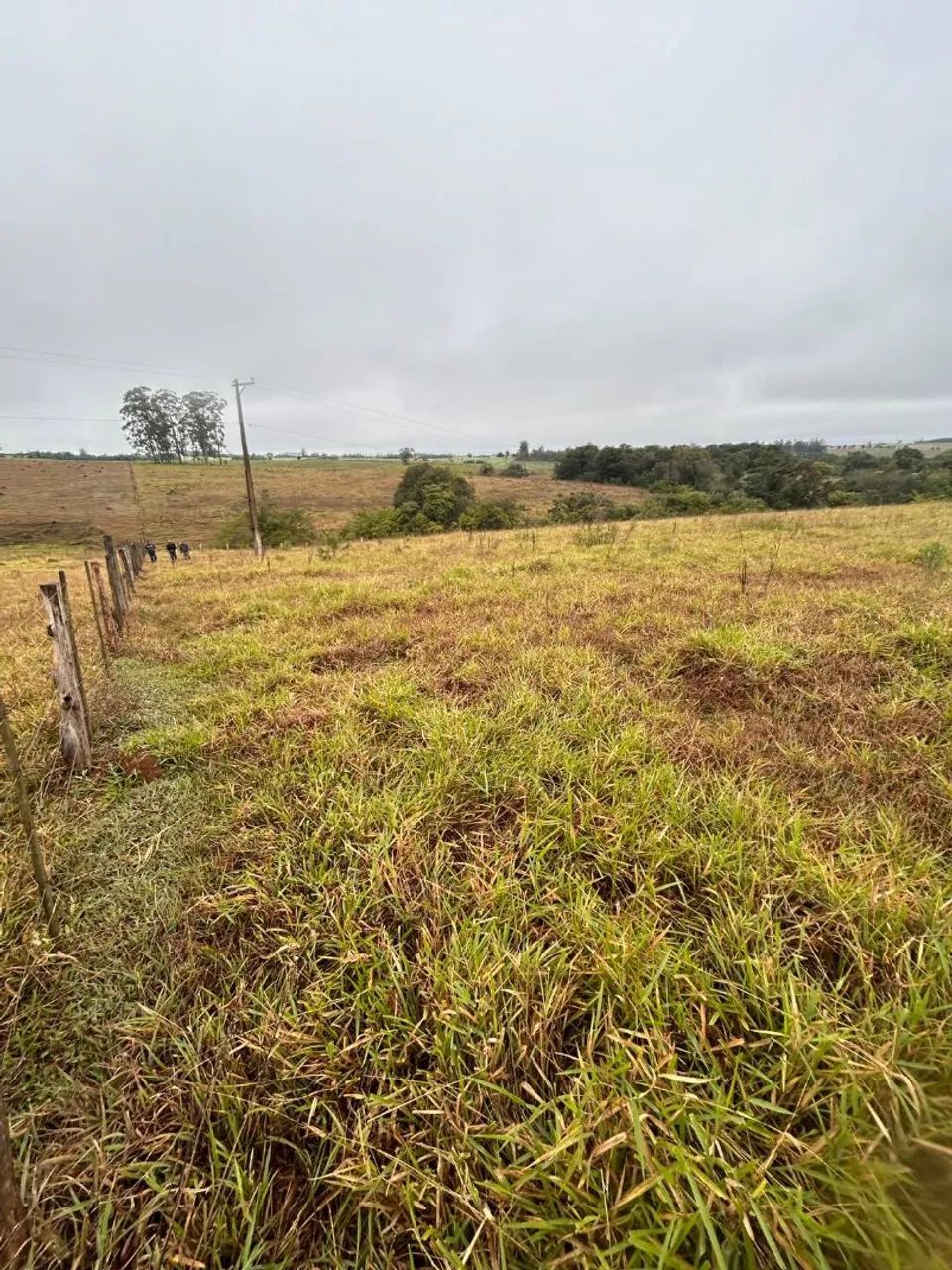 Terrenos  de 500 a 1000.metros