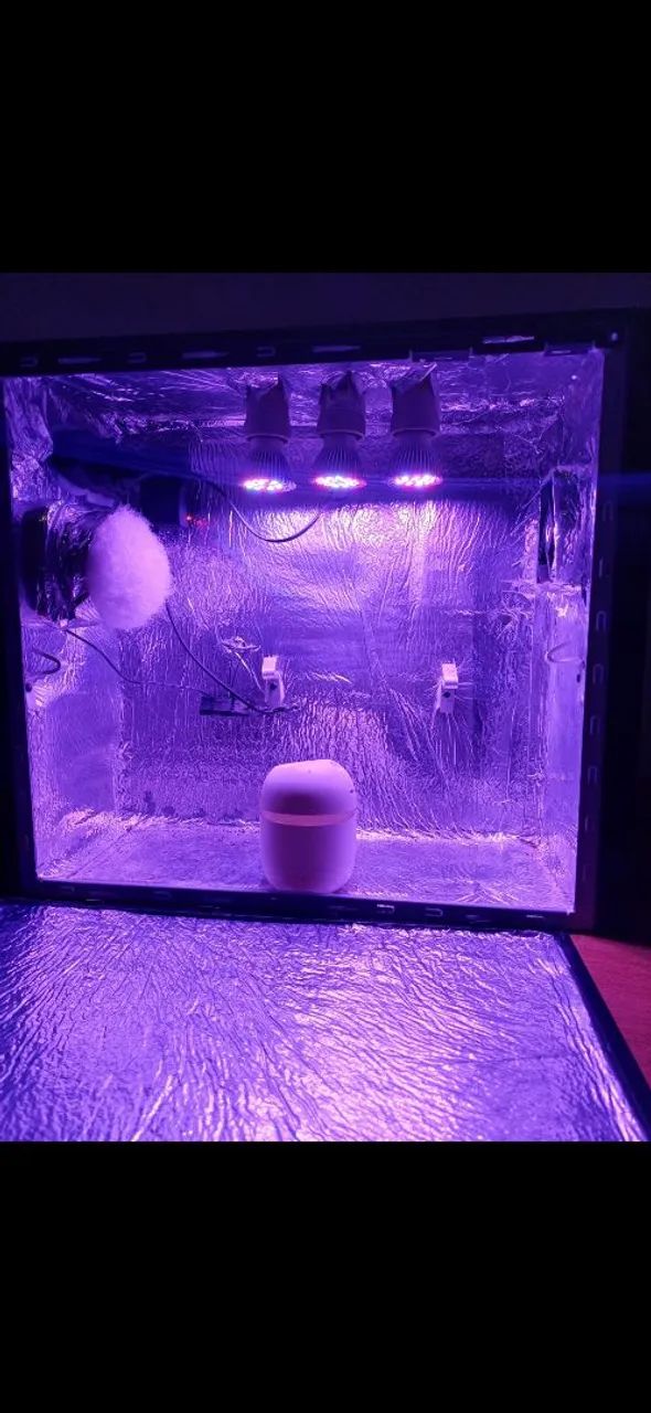 Mini estufa para plantas 