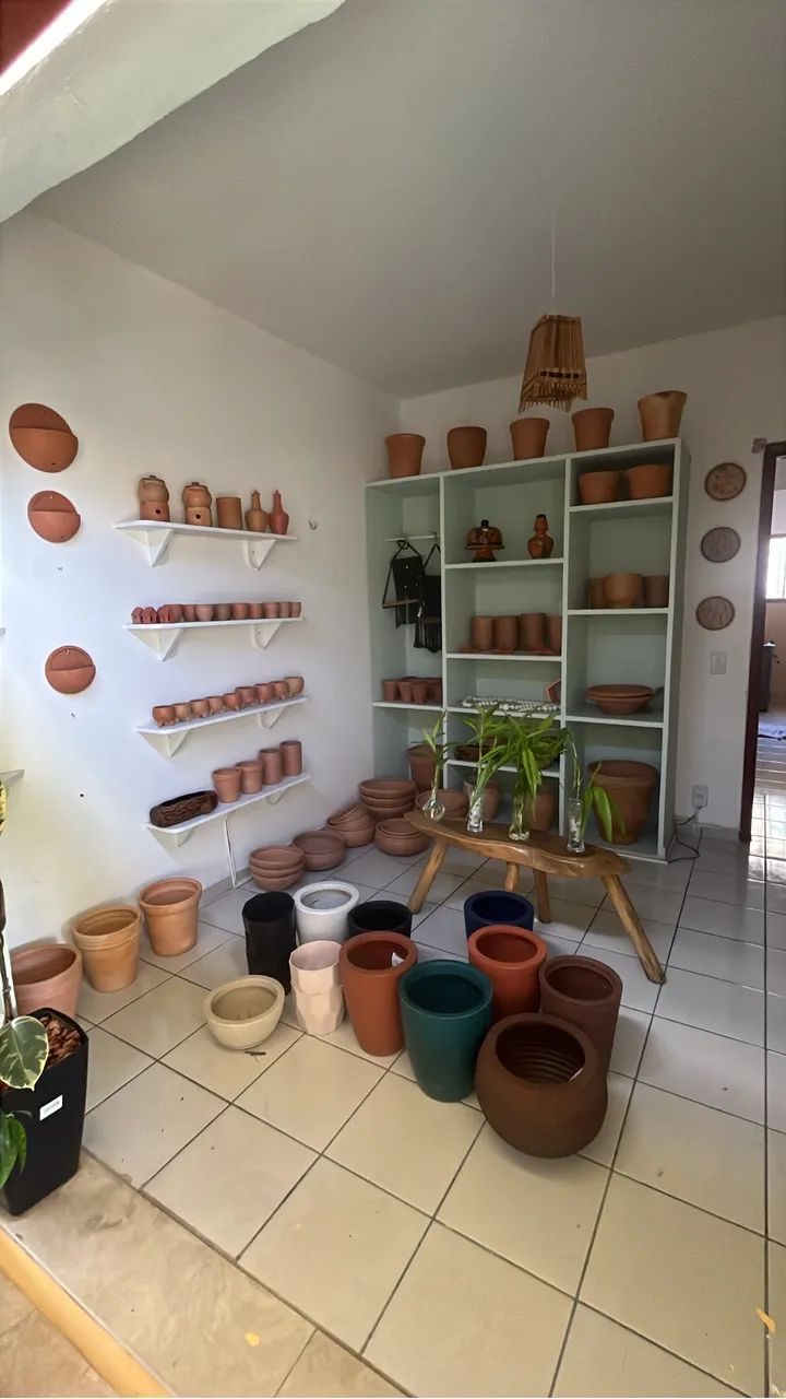 Repasse Loja de Plantas - Foto 4