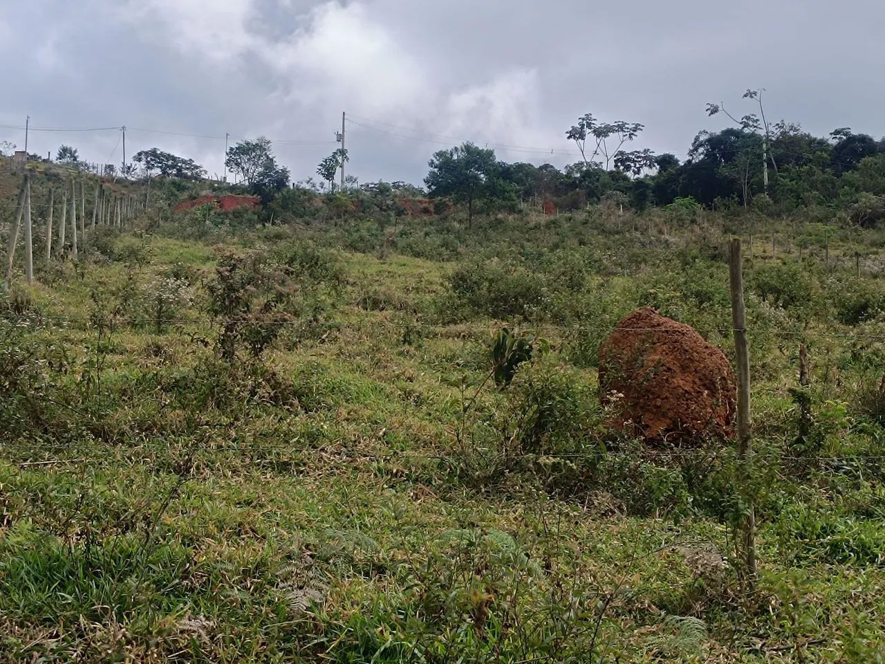 Granja Em Ewbank da Câmara. - Foto 4