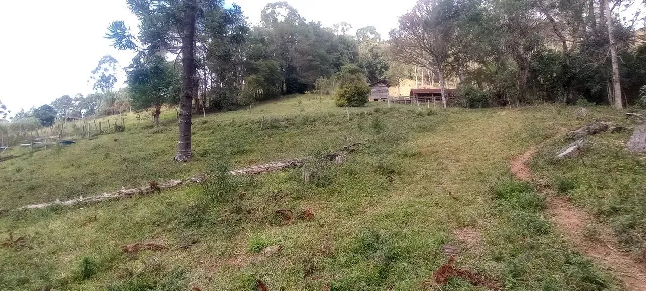 Área rural no Bairro da Paraibuna - Foto 4