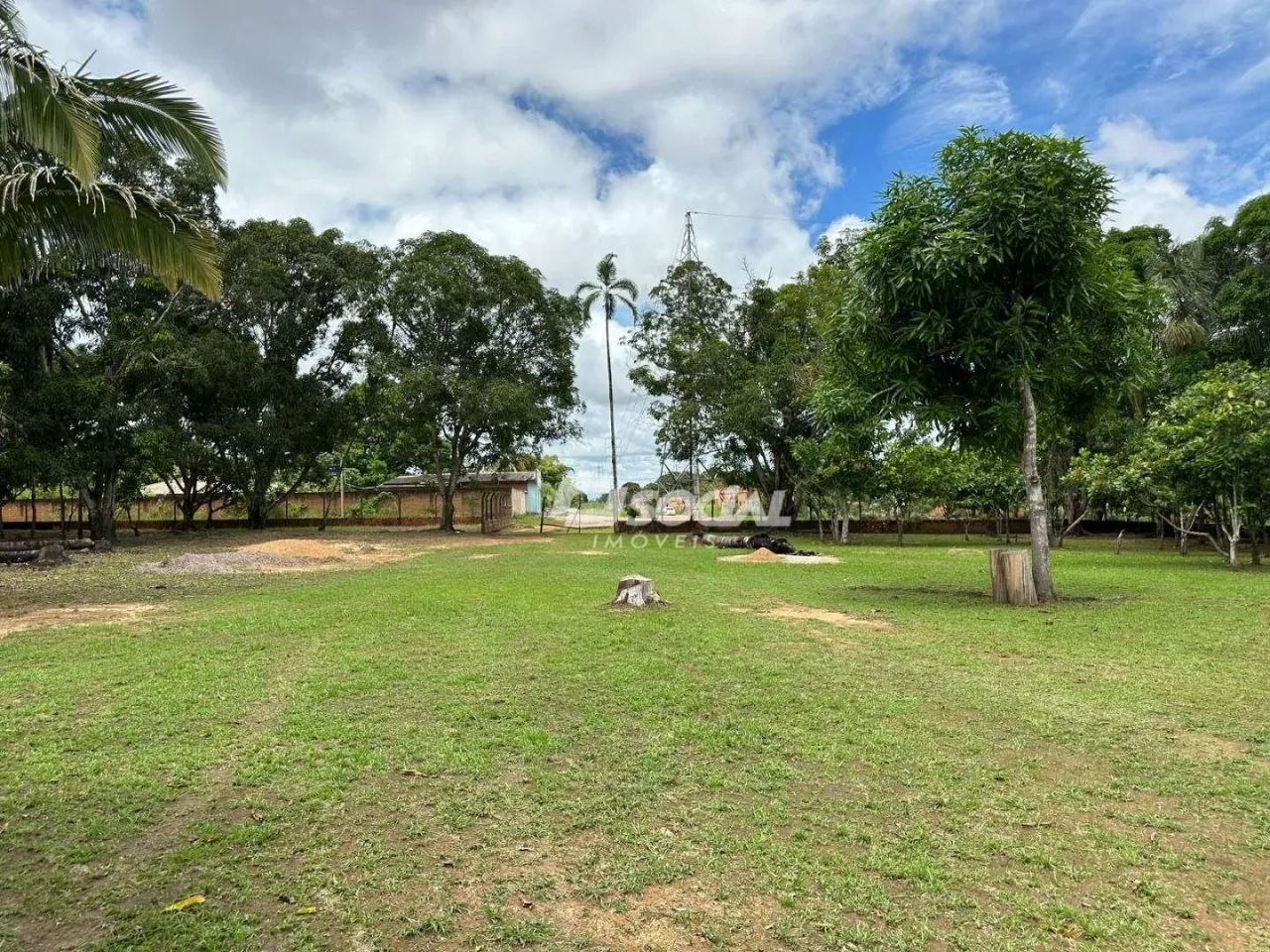 Excelente Chácara com igarapé - Planalto - Foto 2