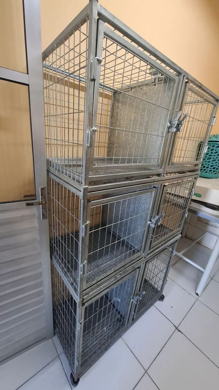 Canil de Ferro Galvanizado com 6 Baias - SUPER RESISTENTE