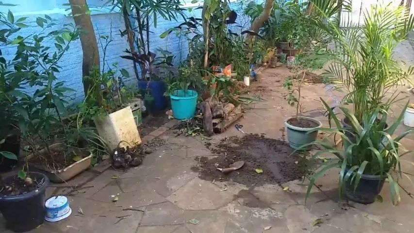 Limpeza de Quintal e Jardim - Foto 2