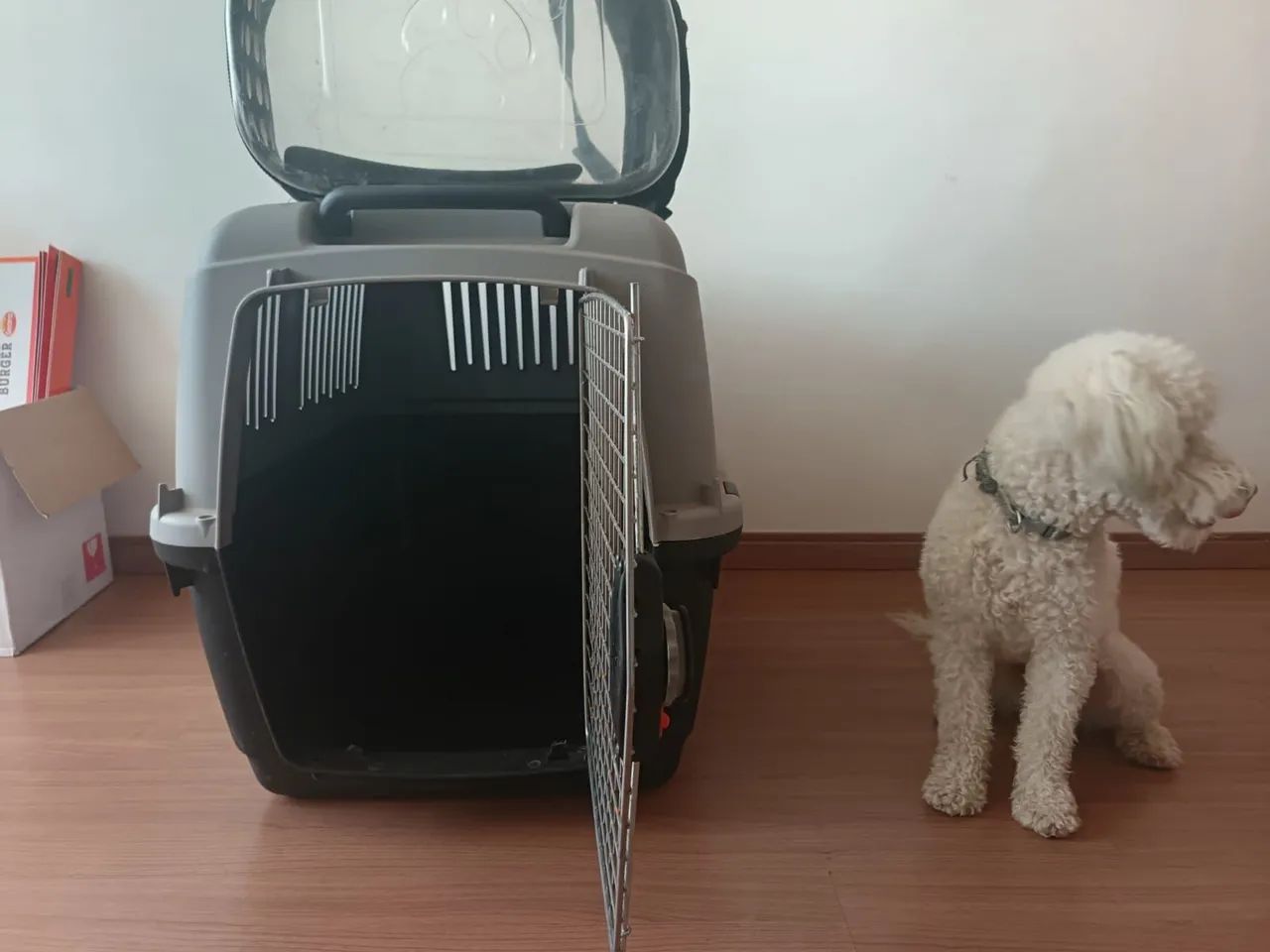 Caixa de transporte pet - Foto 3