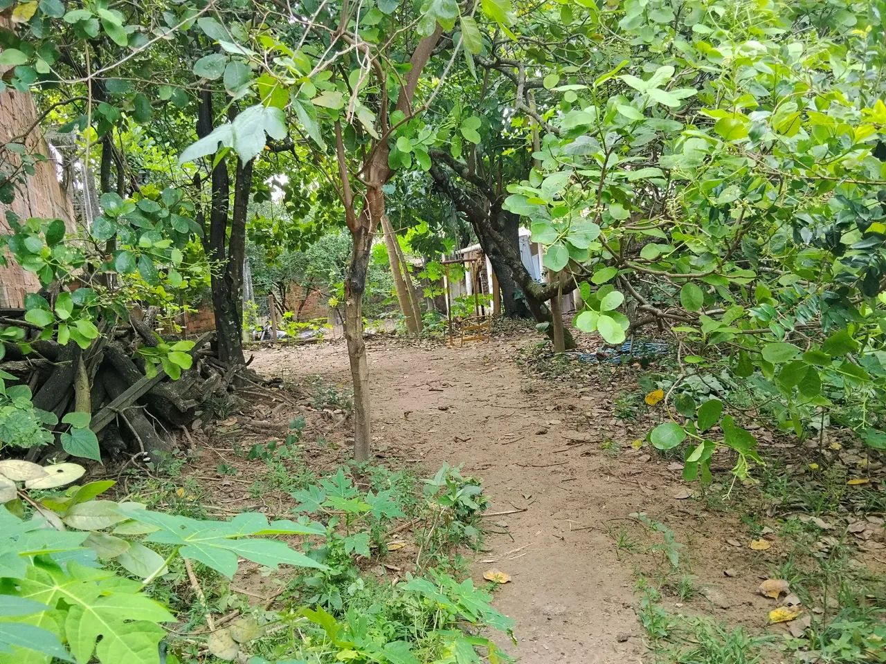 Vendo  - Foto 4