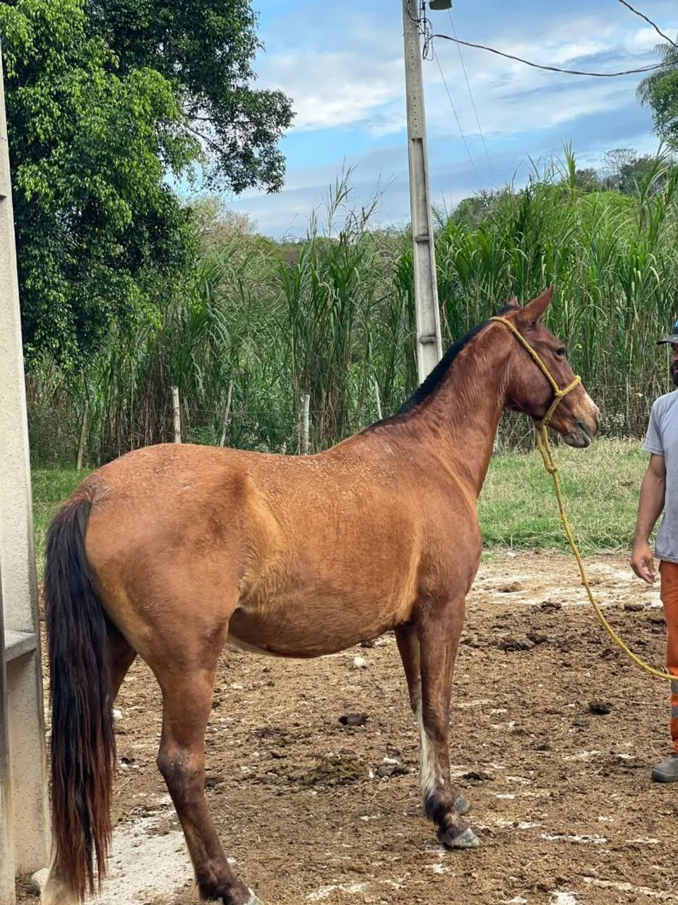 Vendo ou troco  - Foto 5