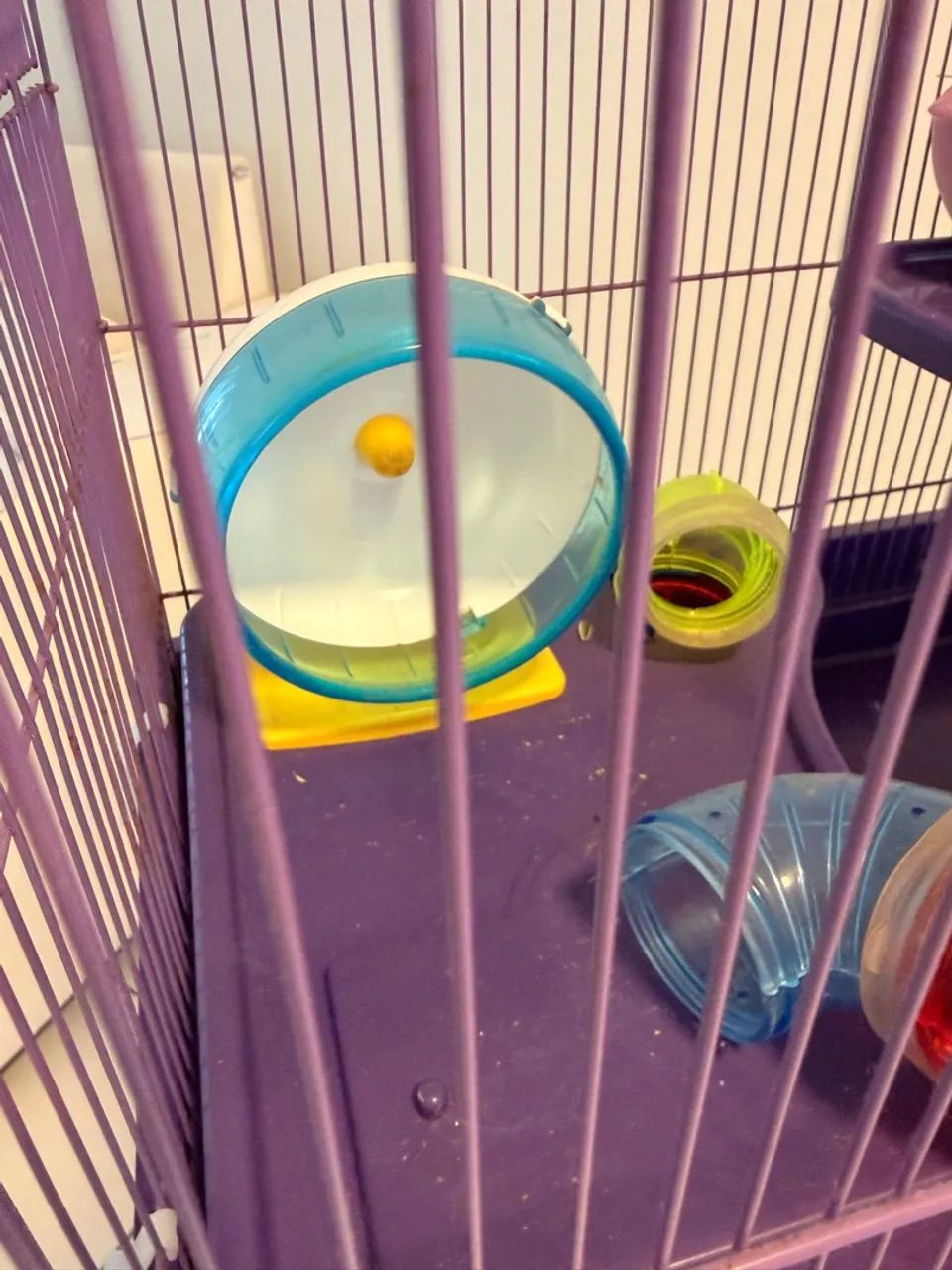 Gaiola para Hamster completa!  - Foto 2