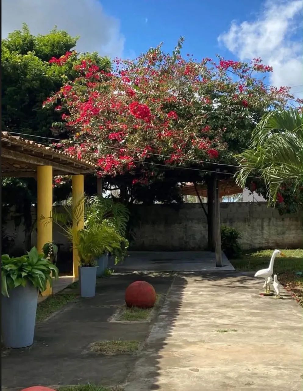AR706 MINI SÍTIO EM CORAÇÃO DE MARIA  - Foto 4
