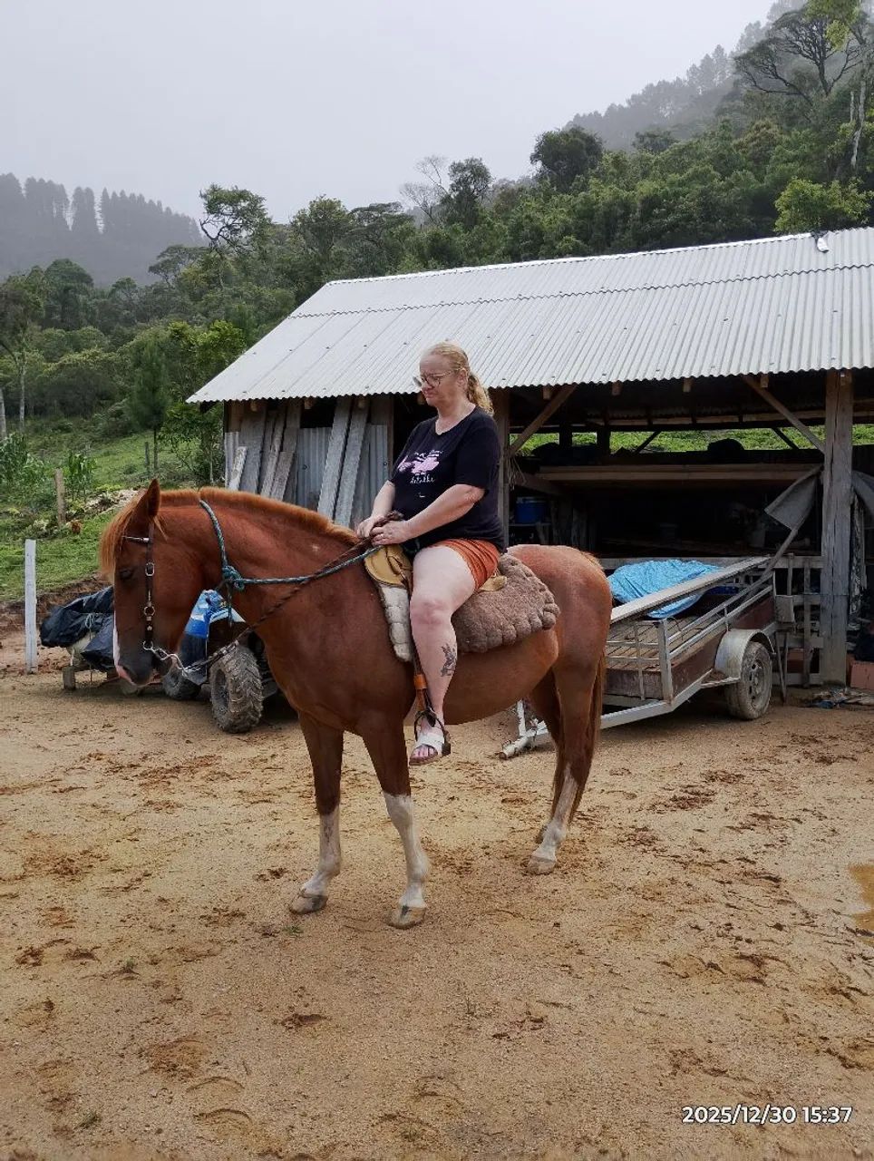 Vendo cavalo - Foto 4