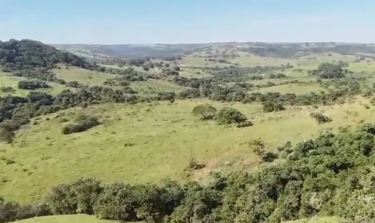 Fazenda a venda em SP. CENTRO OESTE. - Foto 5