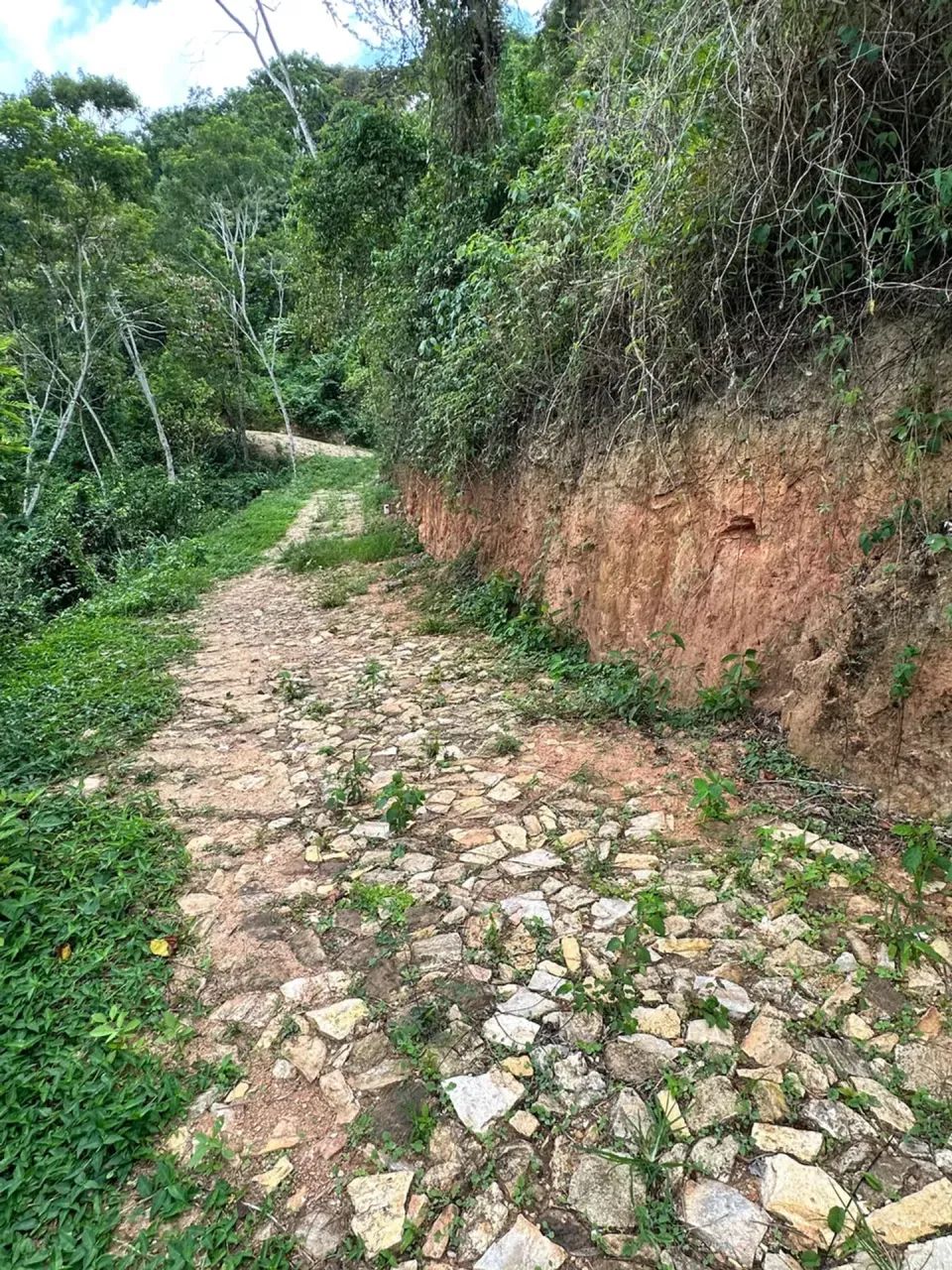 Lotes De 10X30 Na Serra De Pacoti, As Margens Da Ce 065, 3 Minutos Do Centro! Cód. KT58SI - Foto 7