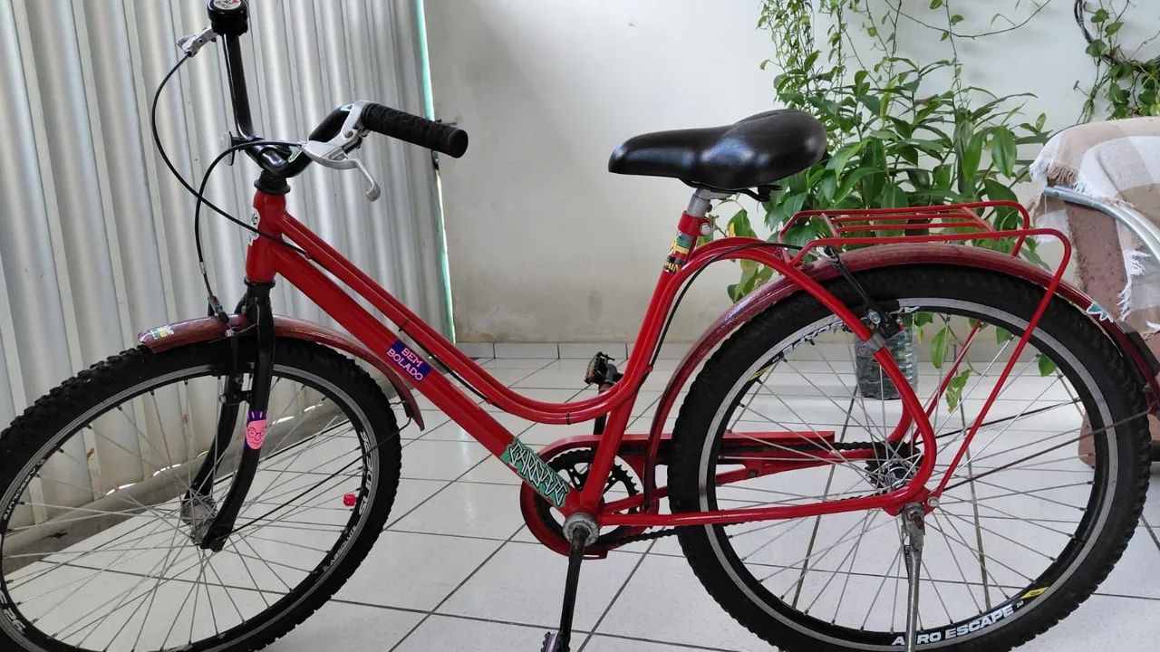 Bicicleta vintage 