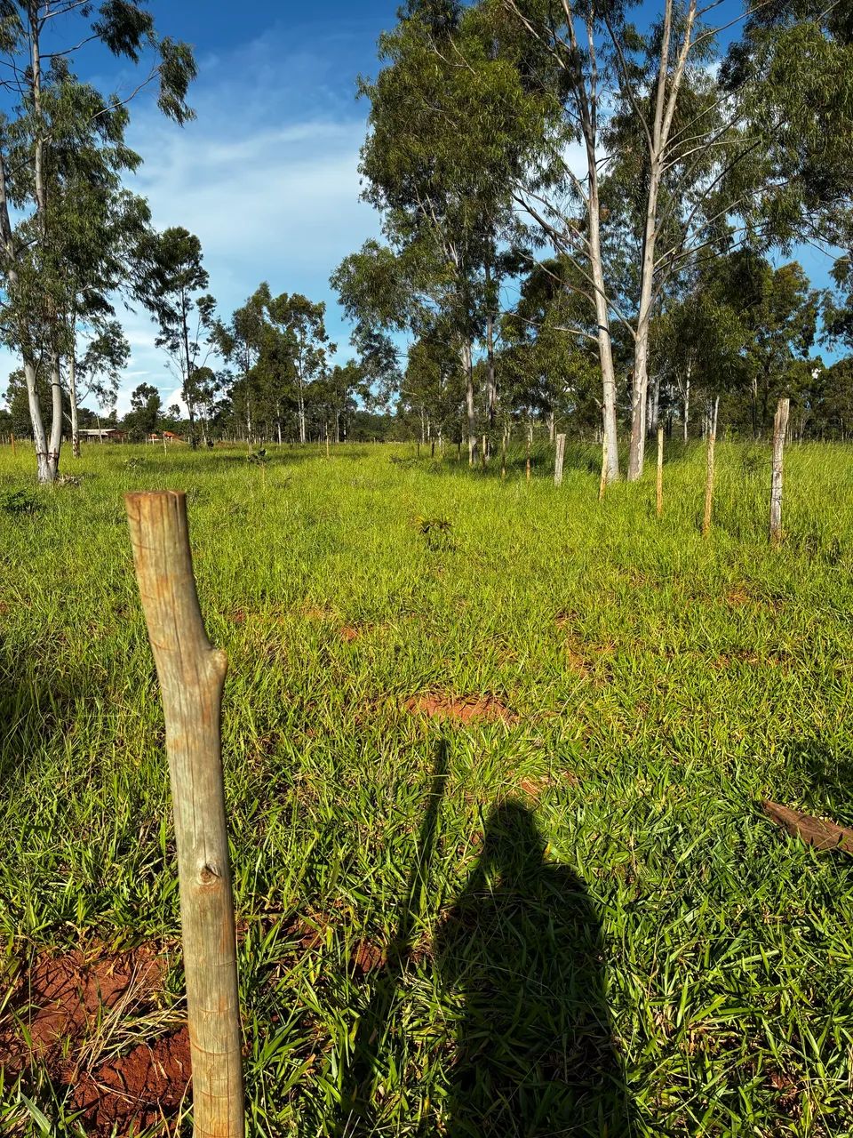 Vendo sítio 4 alqueire ou permuta - Foto 5