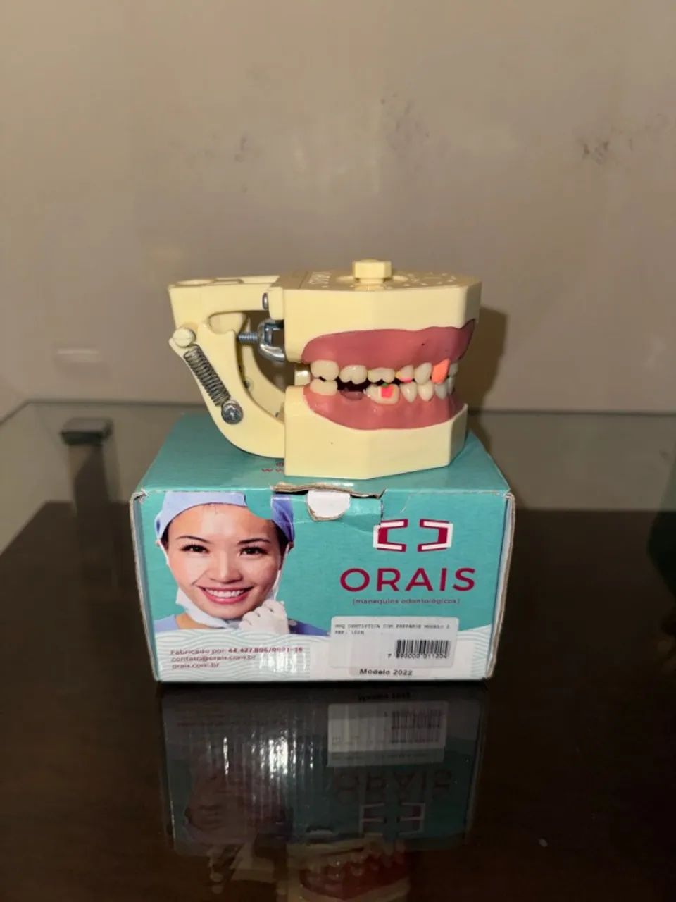 Manequim Odontológico Dentística Orais Com Preparo Ref. 102n