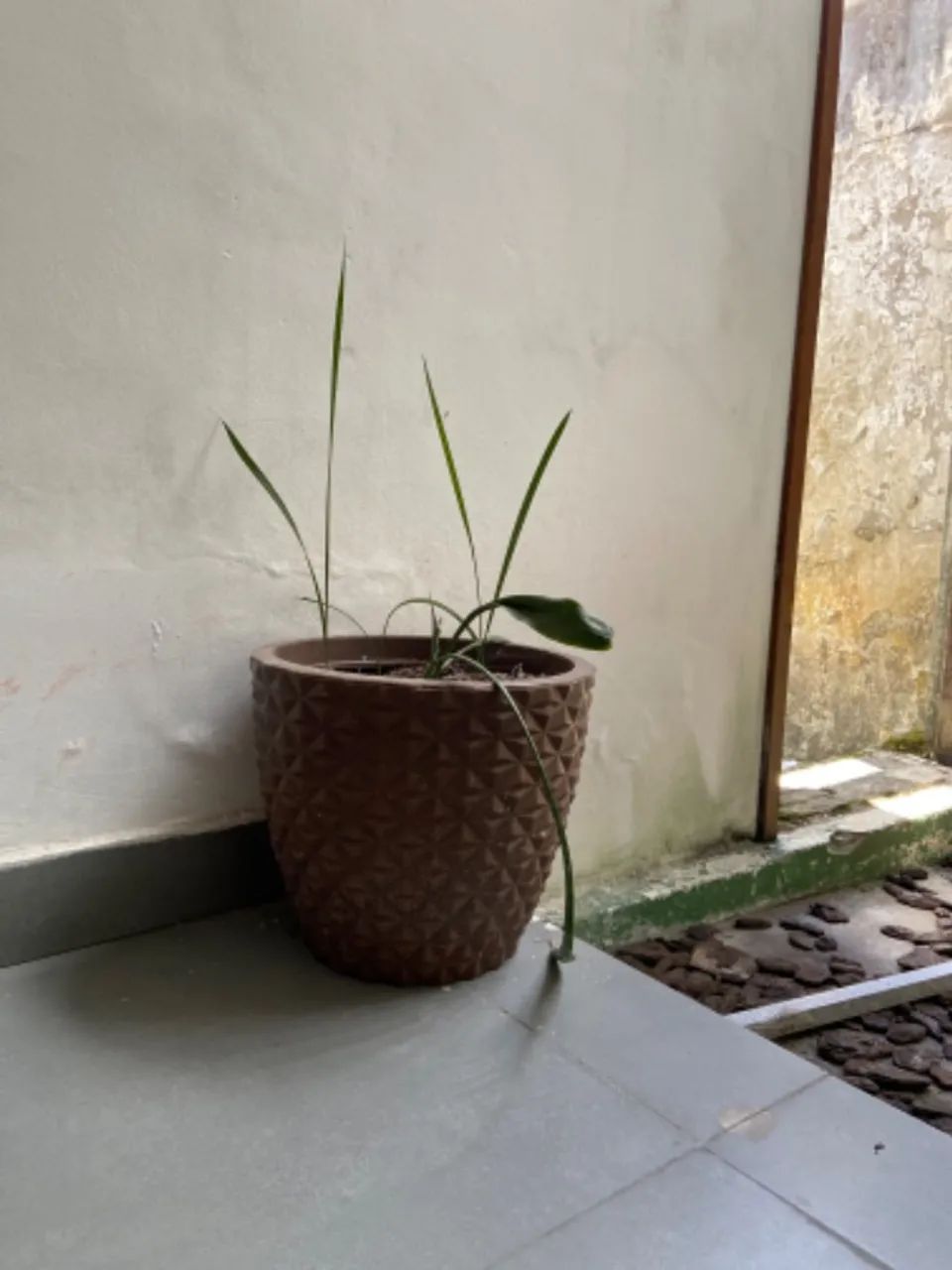 Vaso  - Foto 2