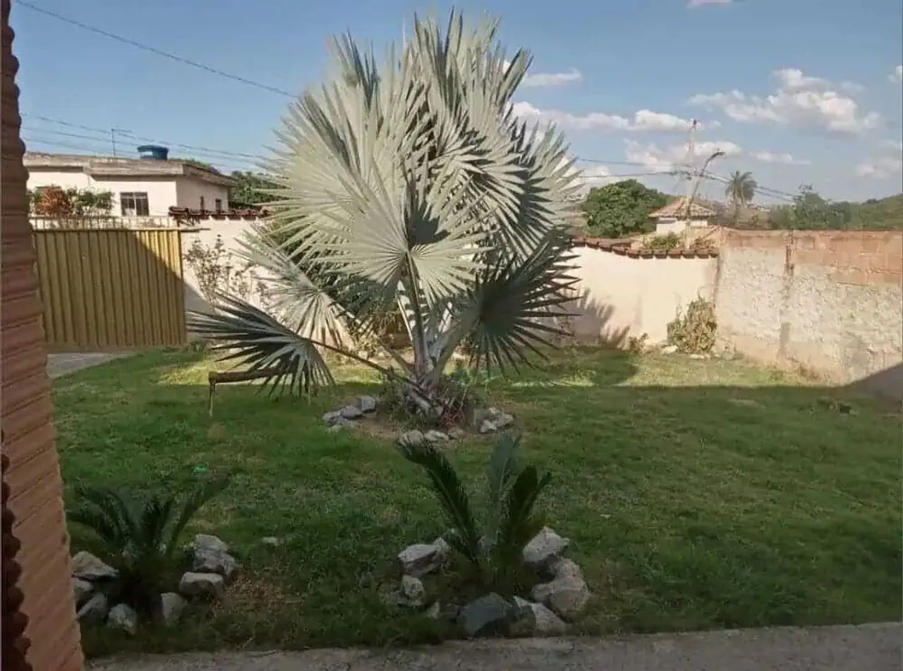 Casa em Betim - Foto 2