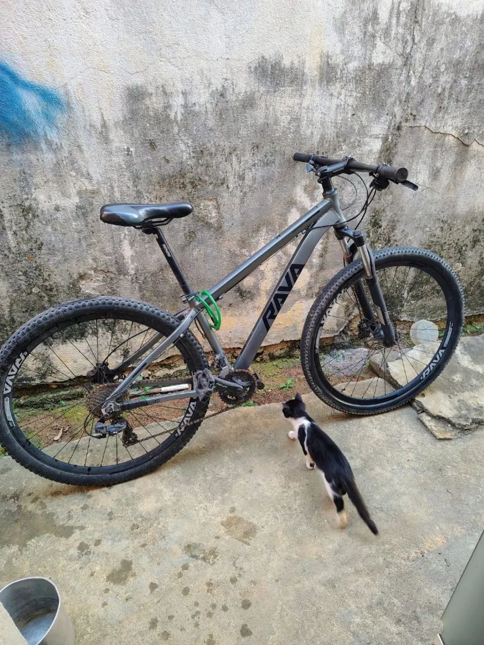 Bicicleta Rava Aro29  - Foto 2