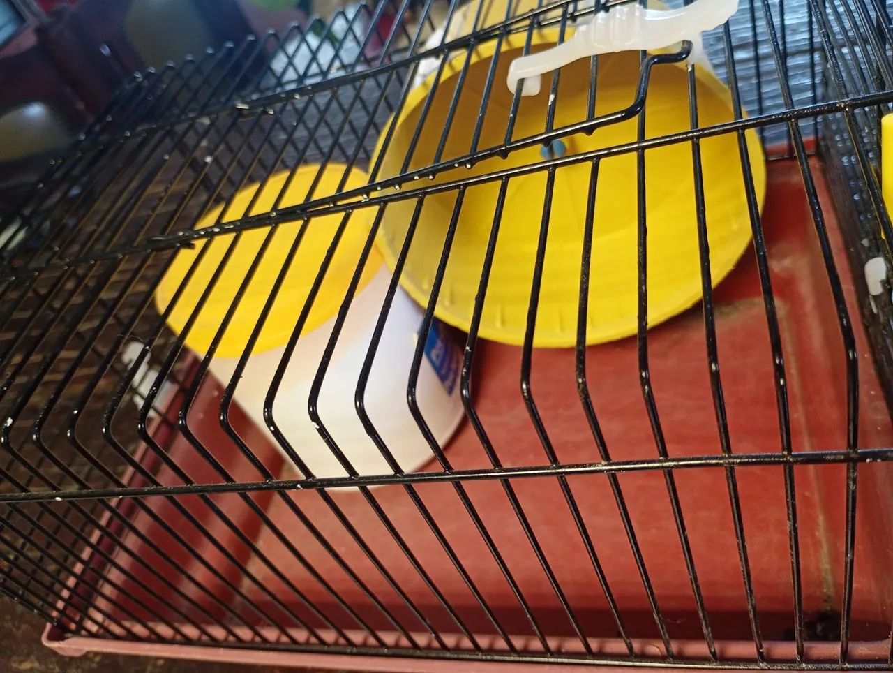 Gaiola para Hamster/roedores com acessórios  - Foto 4