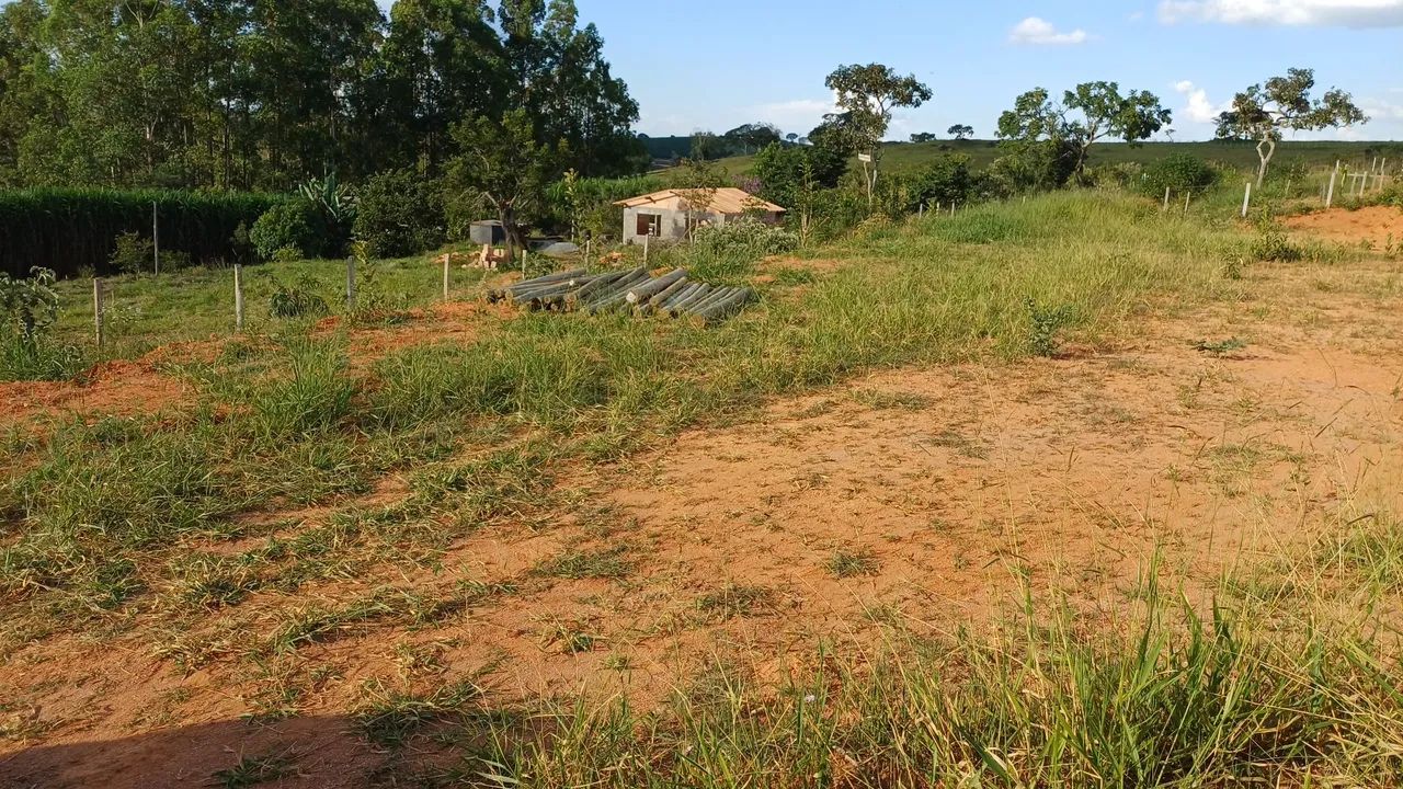 Chacara - Foto 4
