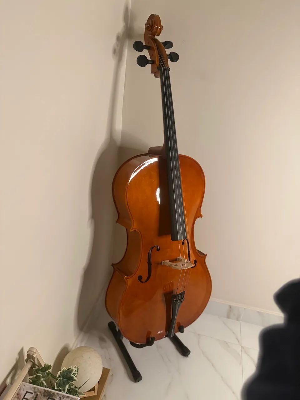 Violoncelo 4/4
