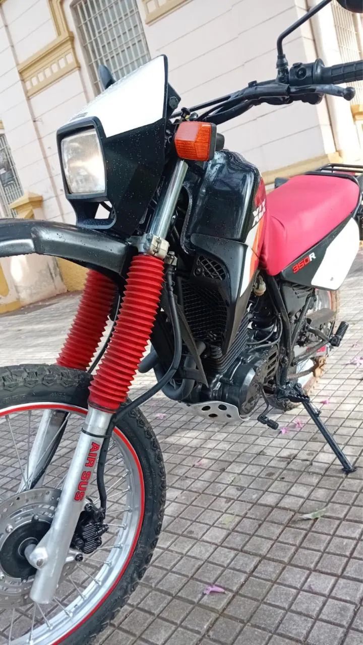 XLX - Foto 3