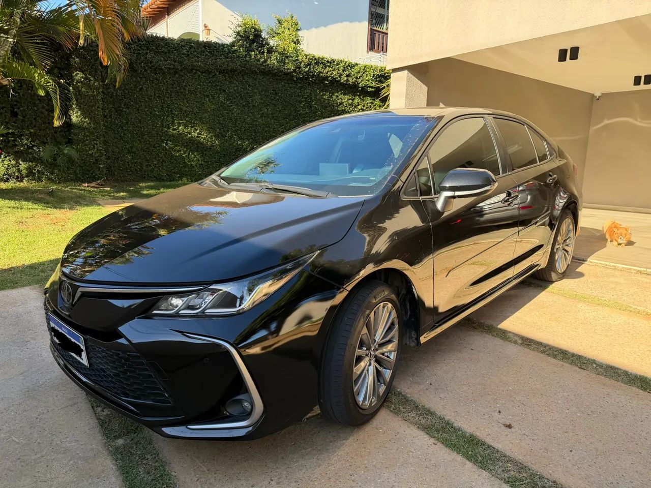 Toyota Corolla 2025