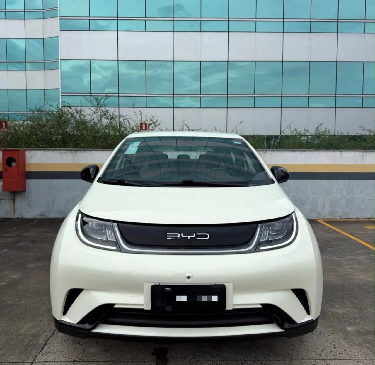 BYD Dolphin EV (Elétrico) 2024 - Foto 2