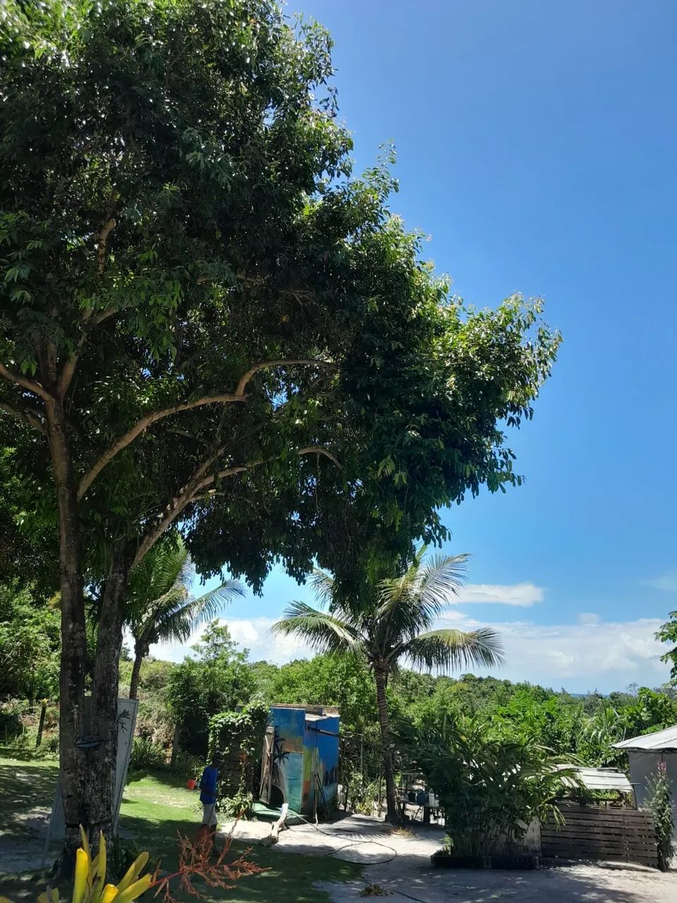 Espaço comercial / Nova Caraíva / Porto Seguro - Foto 3