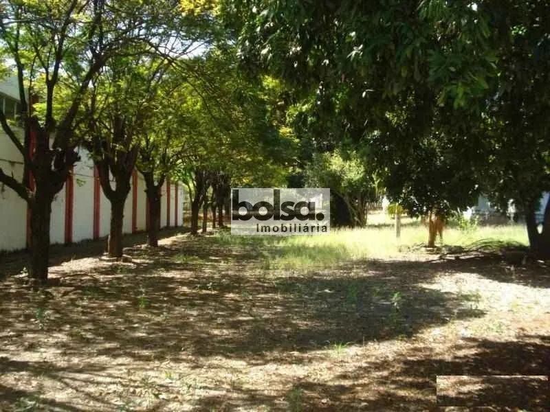 GALPÃO DISPONÍVEL PARA VENDA NO DISTRITO 1 ! ! - Foto 3