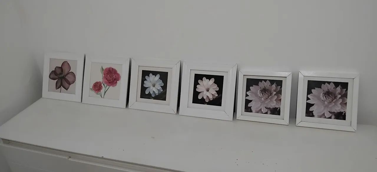Quadros