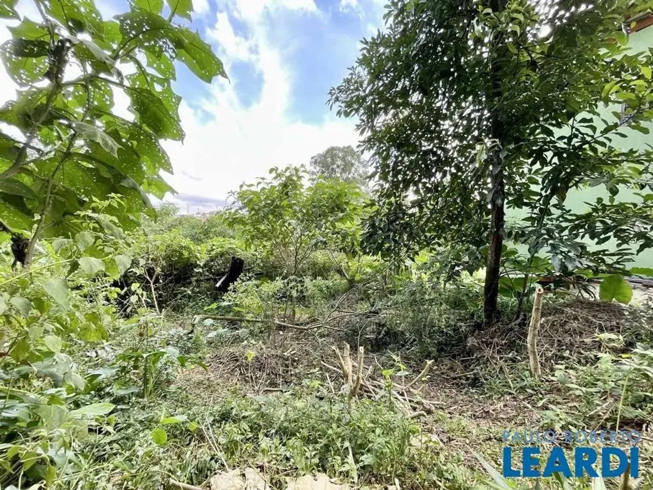 TERRENO EM CONDOMÍNIO - VILA SANTO ANTÔNIO - SP - Foto 7