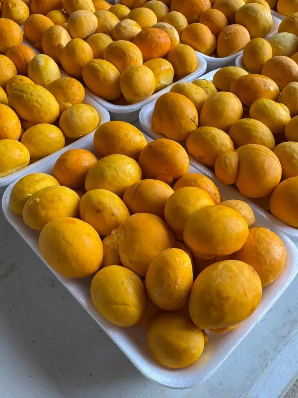 Pequi 