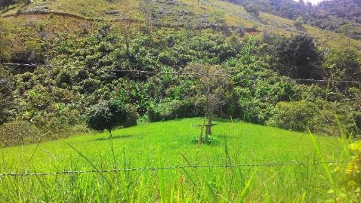Fazenda Vale do Jequiriçá Amargosa - Foto 5