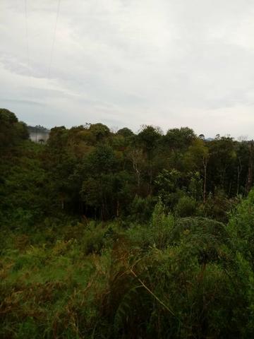 Chácara perto de tudo - Foto 3