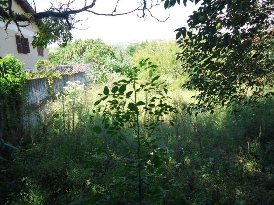 Terreno à venda em Protasio alves, Porto alegre cod:6955 - Foto 3