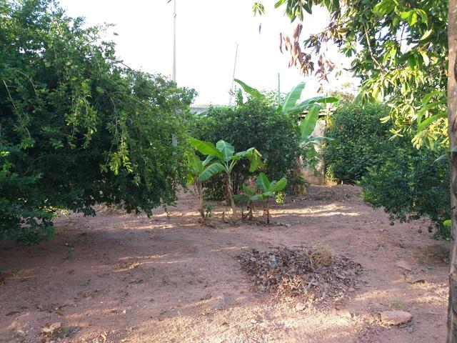 Chácara próximo ao Cherokee - Foto 19